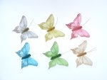 70mm Sherbet Glitter Feather Butterflies.....click for larger image