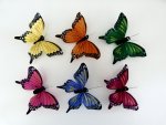 100mm Large Spotted Fantail Feather Butterflies.....click for larger image