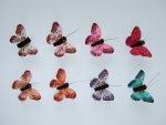 50mm Pearl Lady Feather Butterflies.....click for larger image