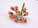Medium Peach Rose